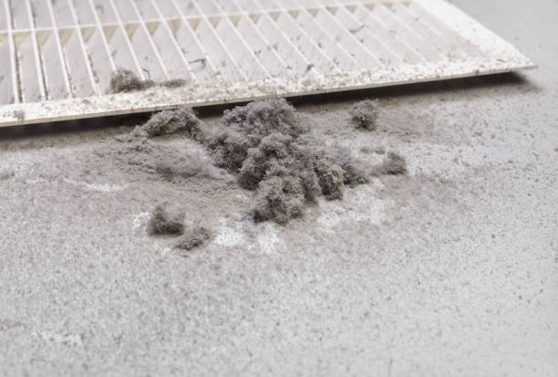 Best HVAC Duct Inspection Services  in Brooktrails, CA