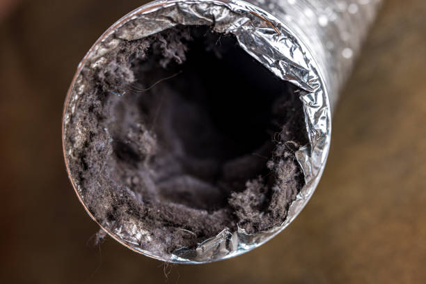 Best Affordable Duct Cleaning Services  in Brooktrails, CA